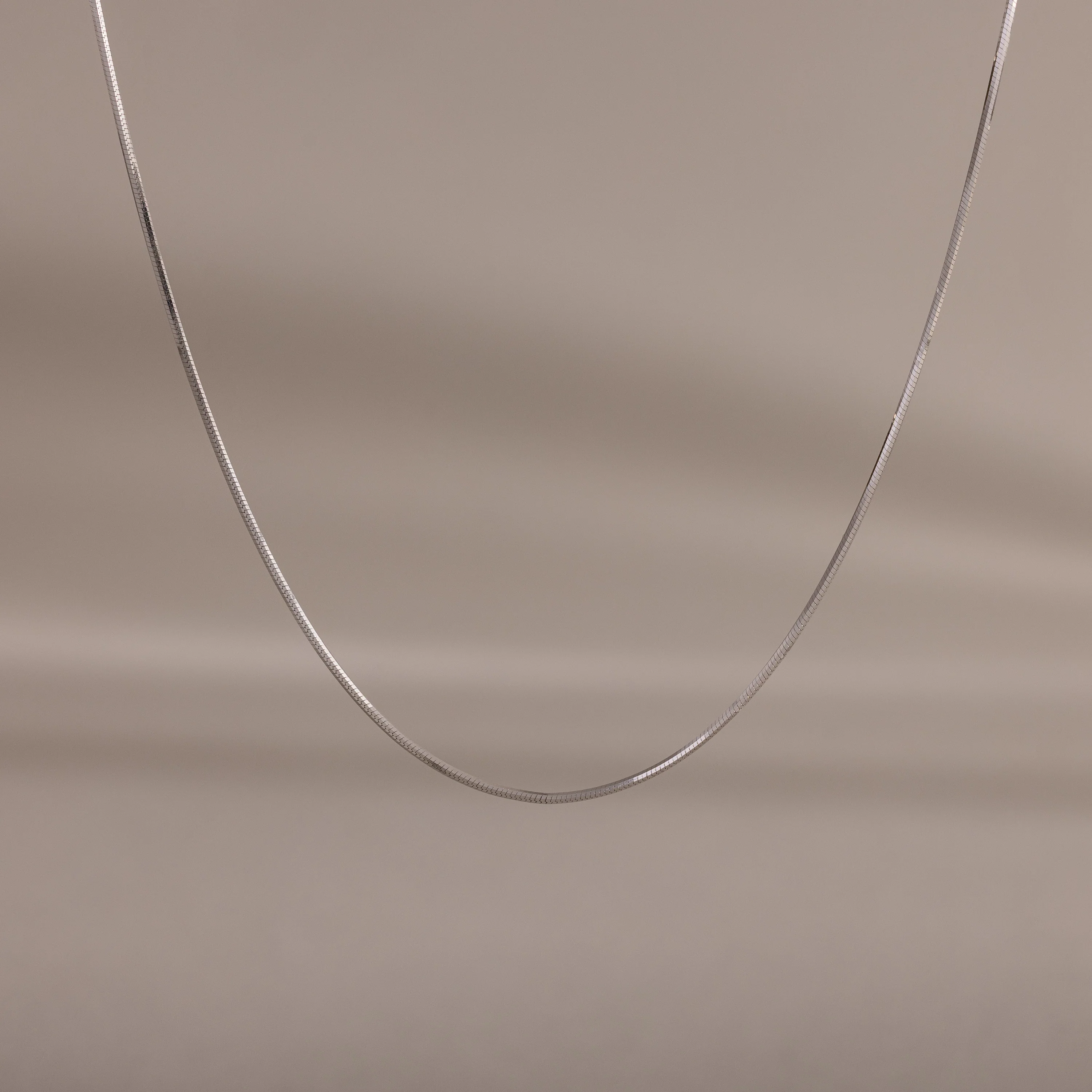 Dainty Herringbone Necklace in Silver