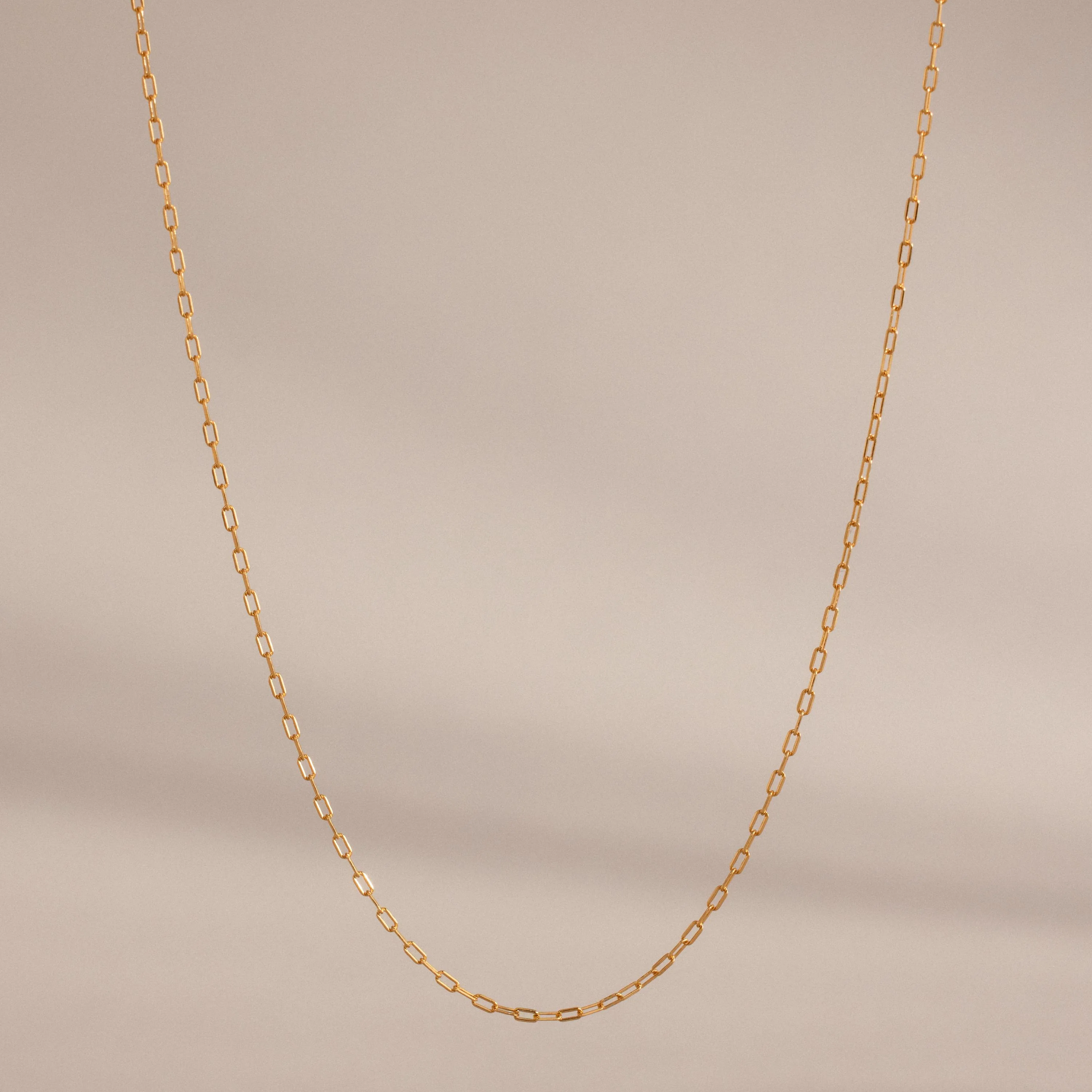 Dainty Paperclip Necklace