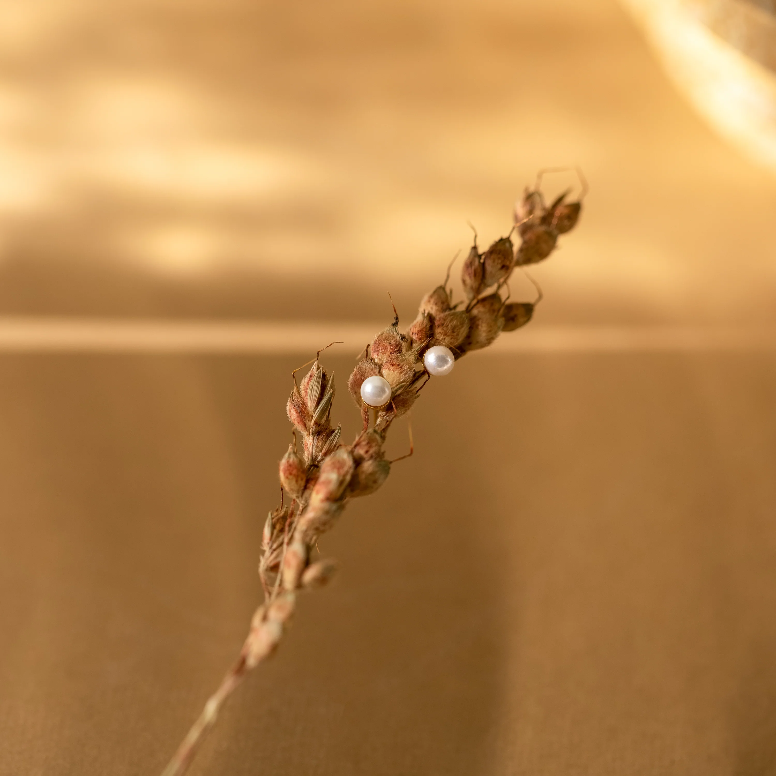 Dainty Pearl Studs in Silver - Image 4