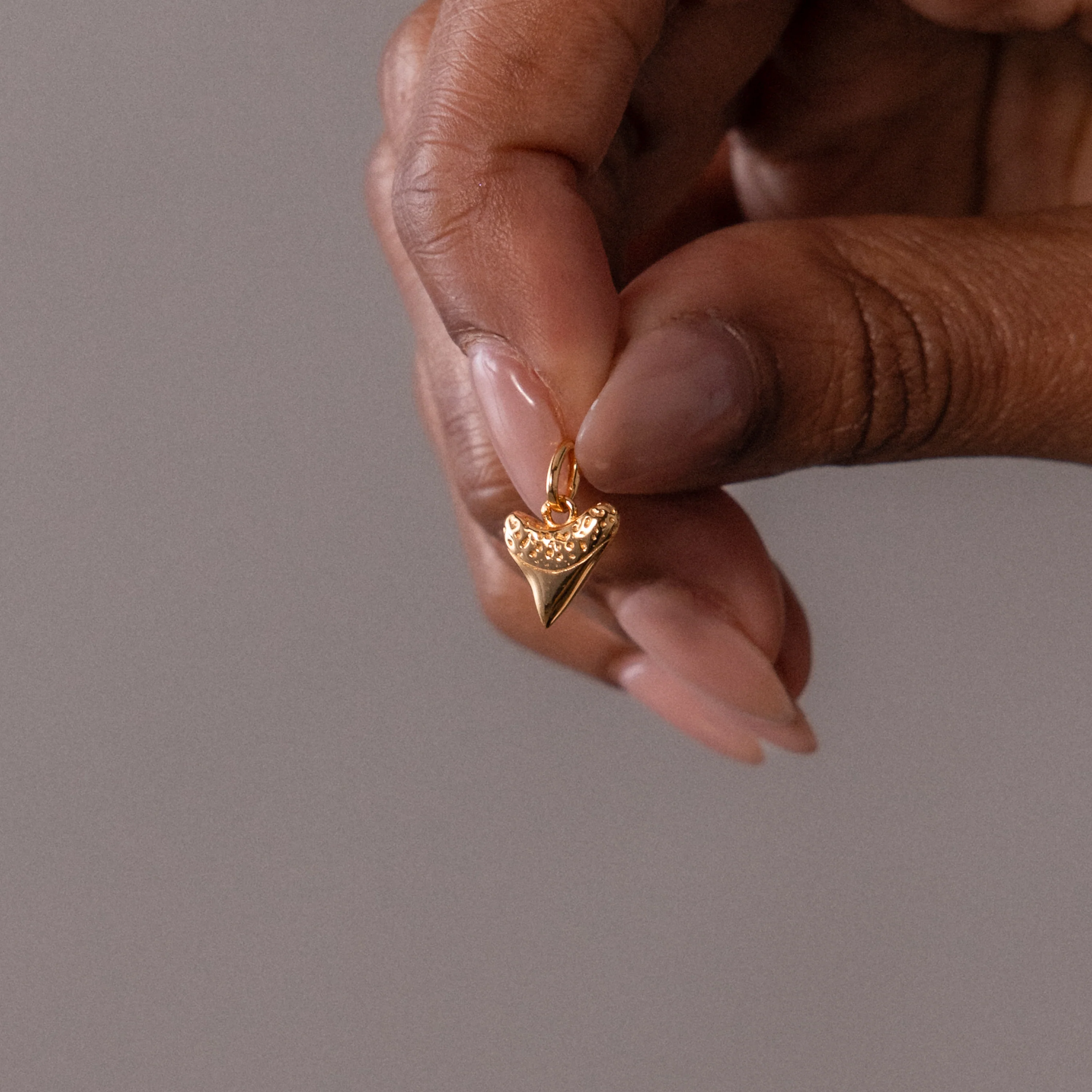 Dainty Shark Tooth Charm in 18K Gold - Image 6