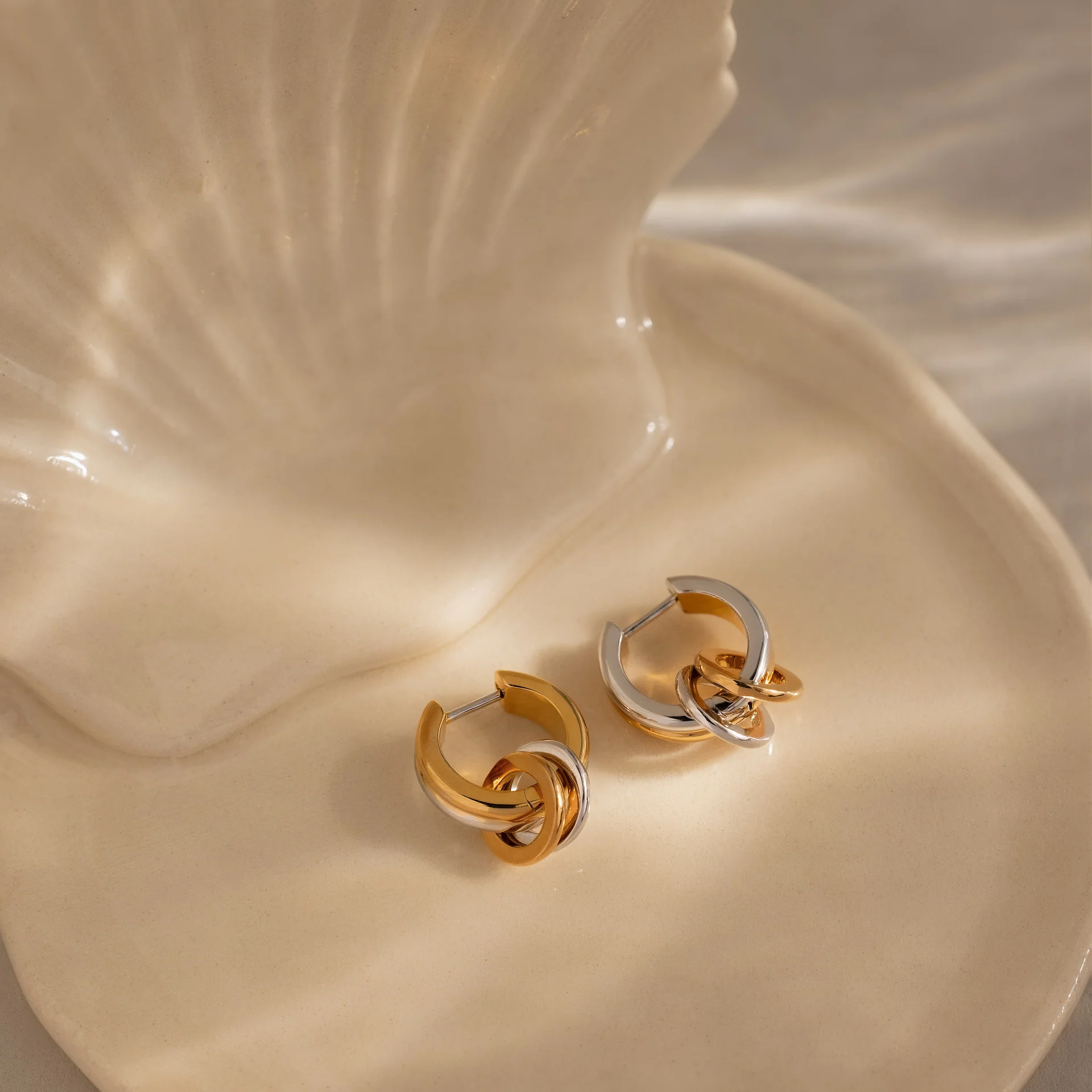 Mixed Metal Circle Hoops - Image 5
