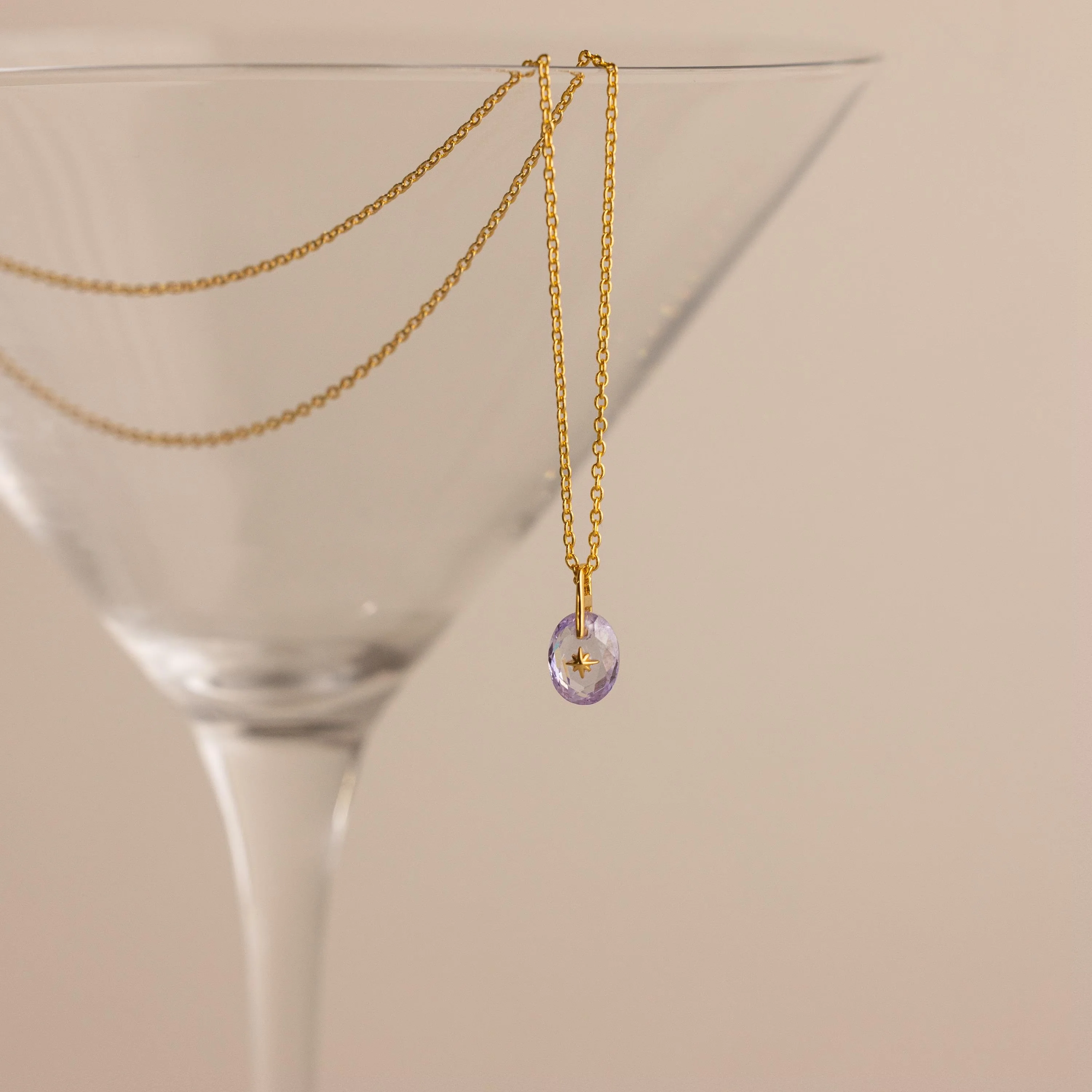 North Star Birthstone Signet Necklace - Image 10