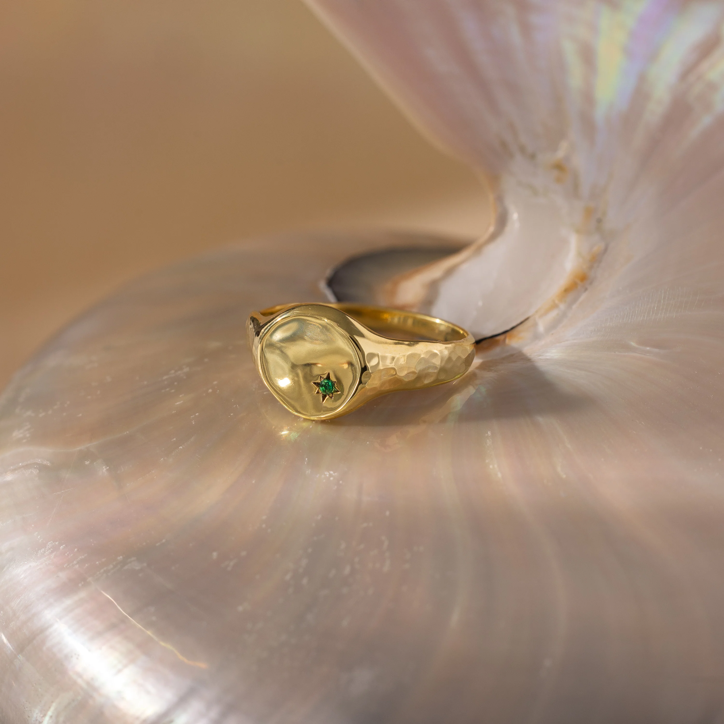 North Star Birthstone Signet Ring - Image 16