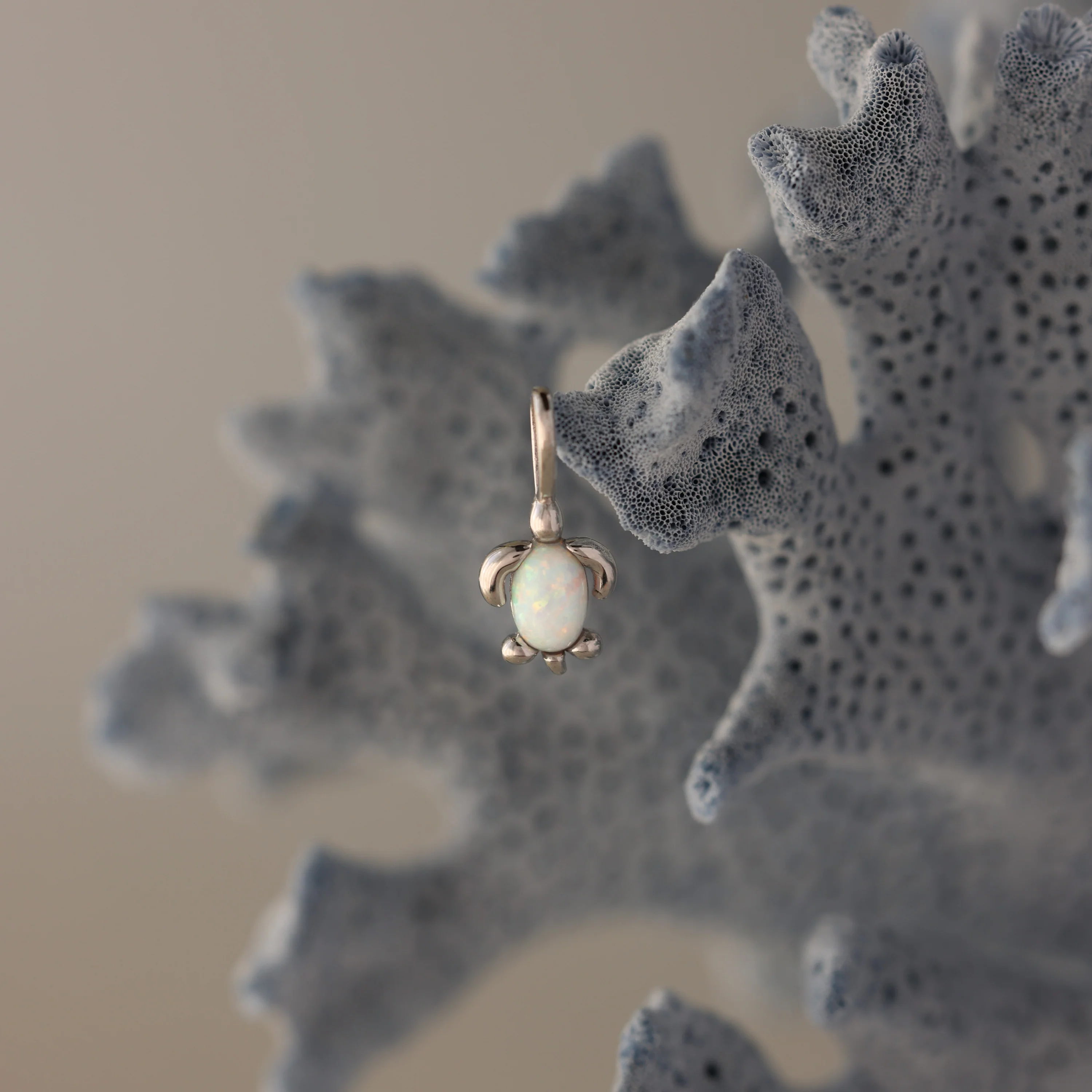 Opal Sea Turtle Charm in Silver - Image 3