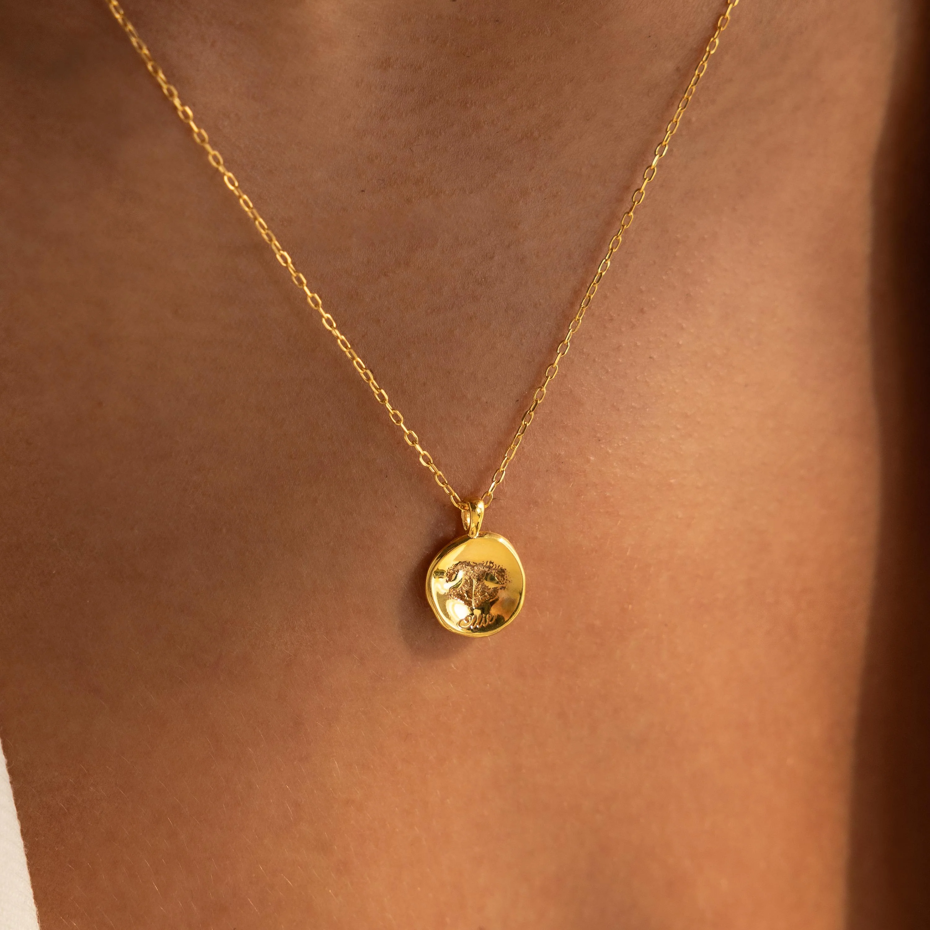 Paw Print Coin Necklace - Image 2