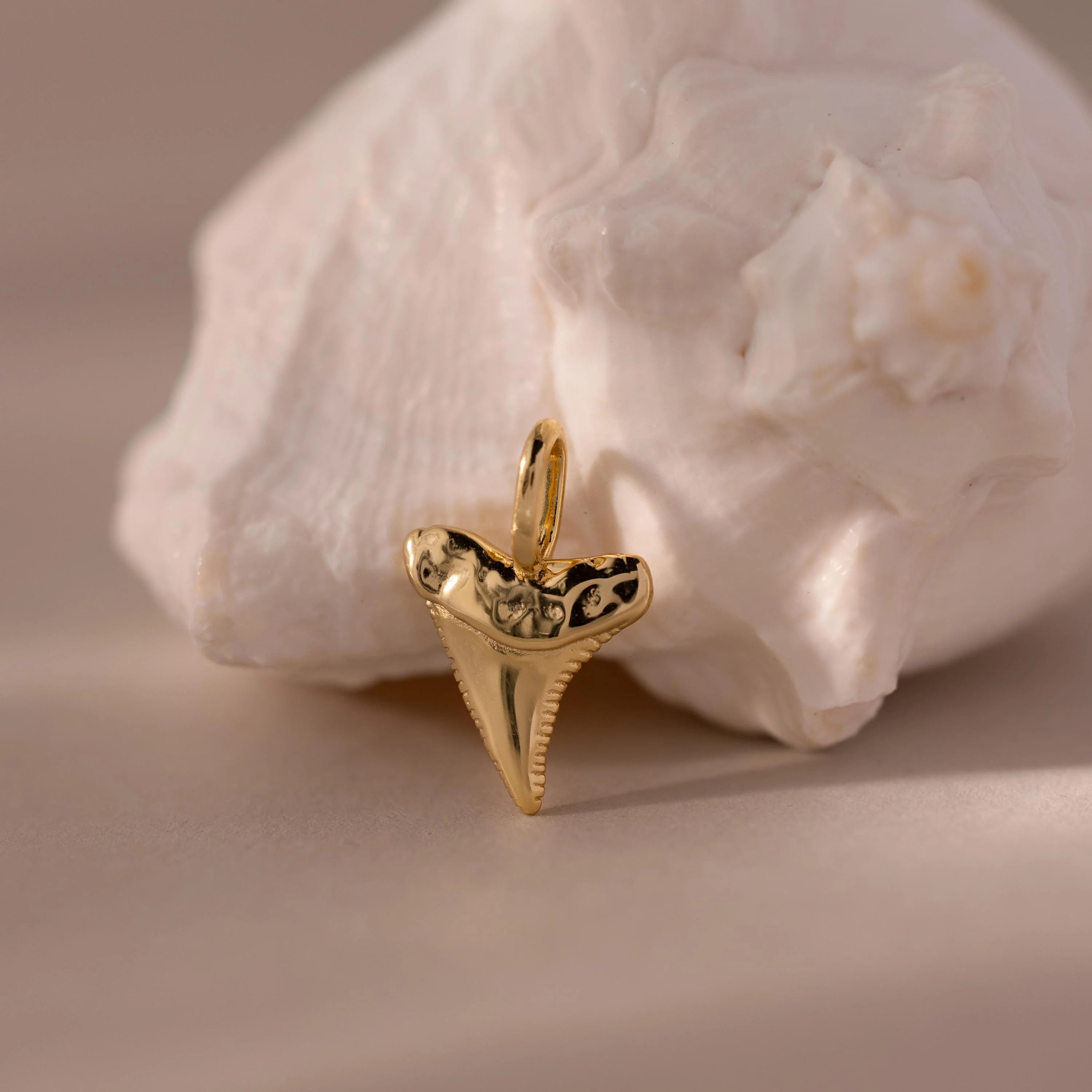 Shark Tooth Charm