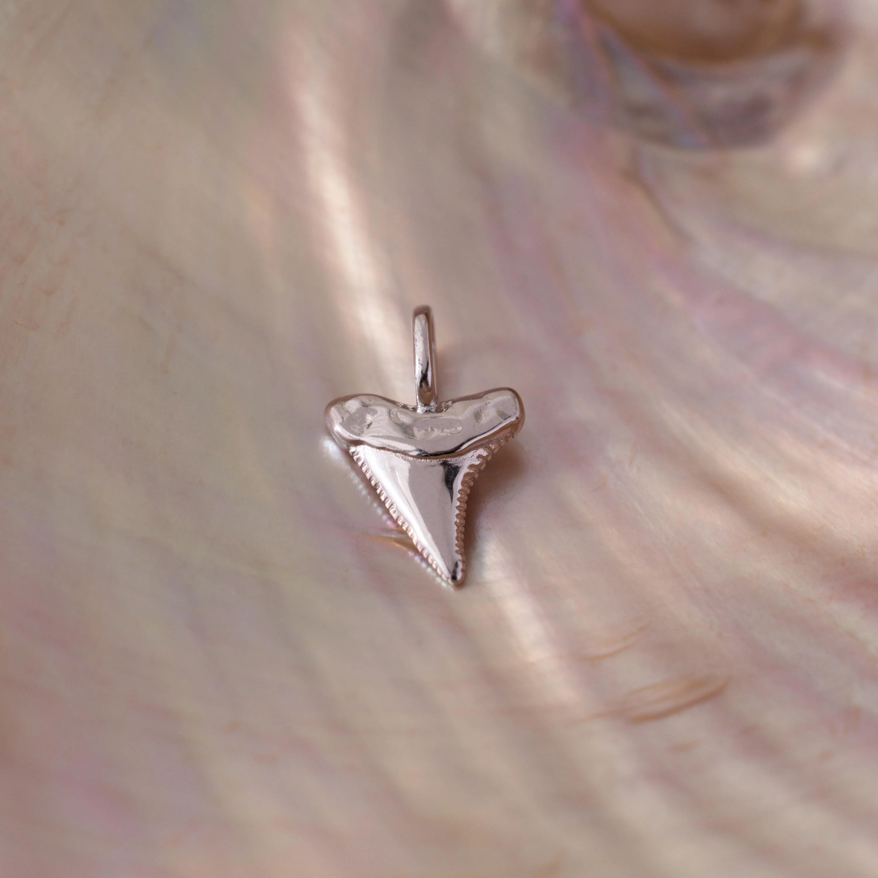 Shark Tooth Charm - Image 5