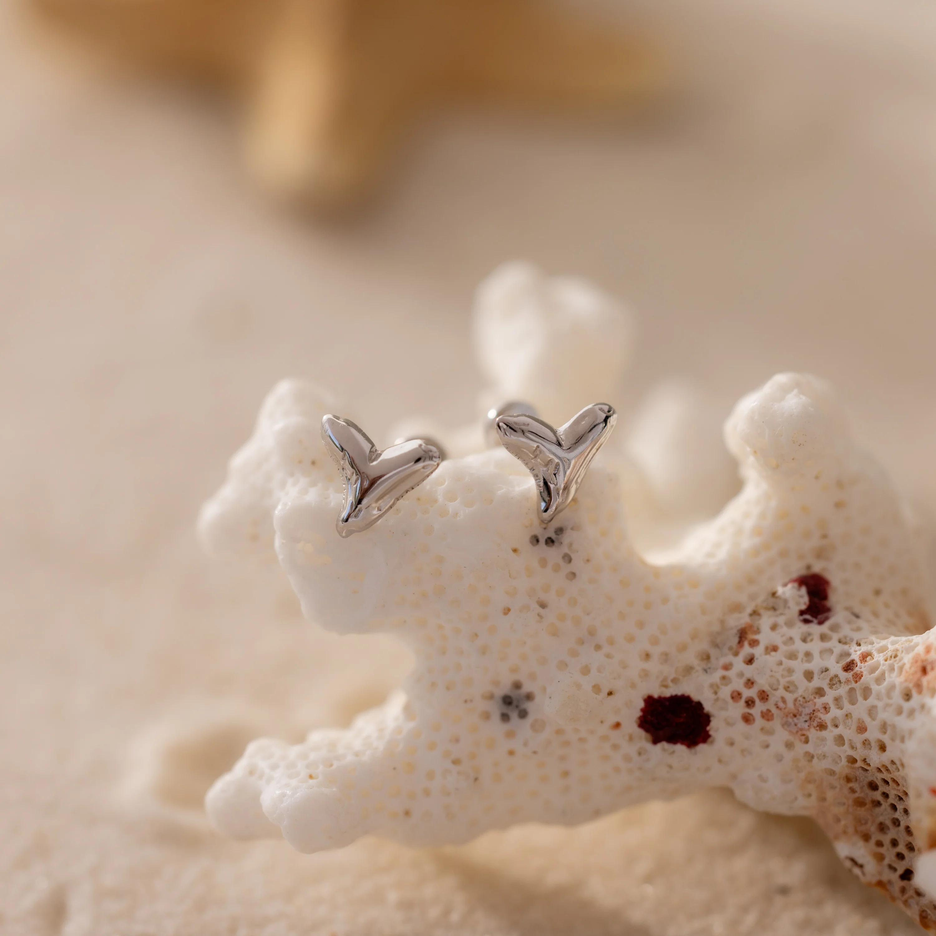 Shark Tooth Flatback Studs - Image 4