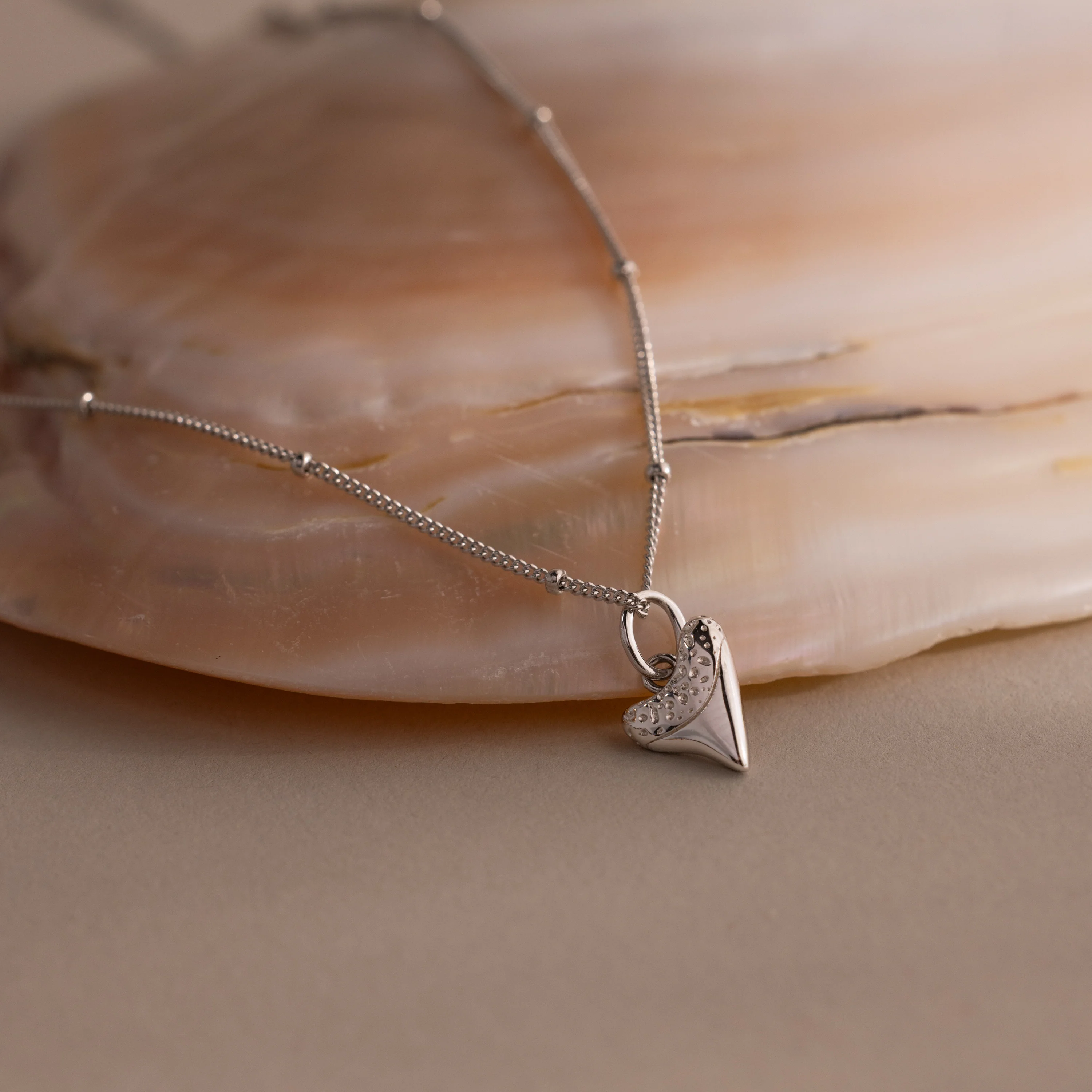 Shark Tooth Necklace - Image 4