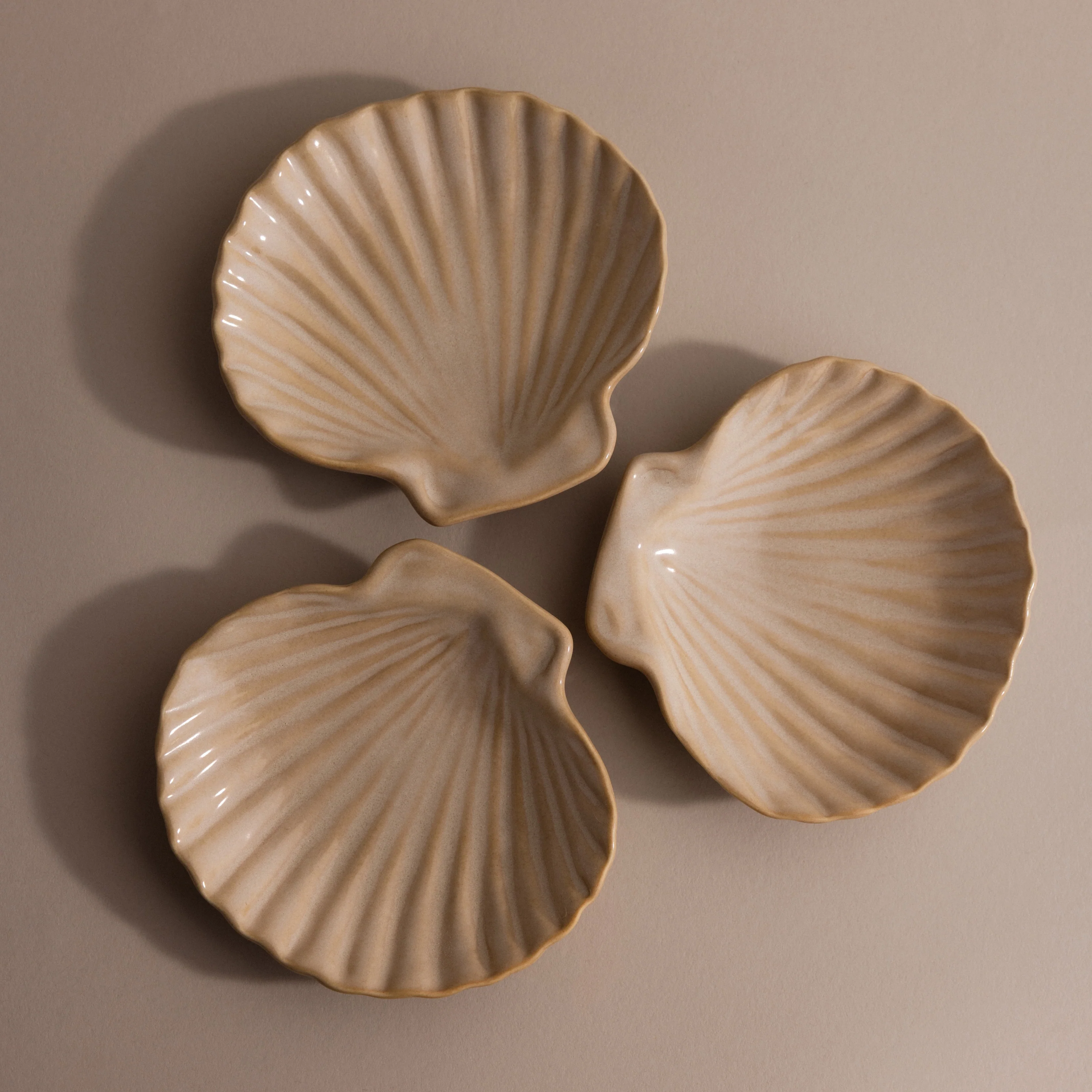 Venus Shell Jewelry Dish - Image 5