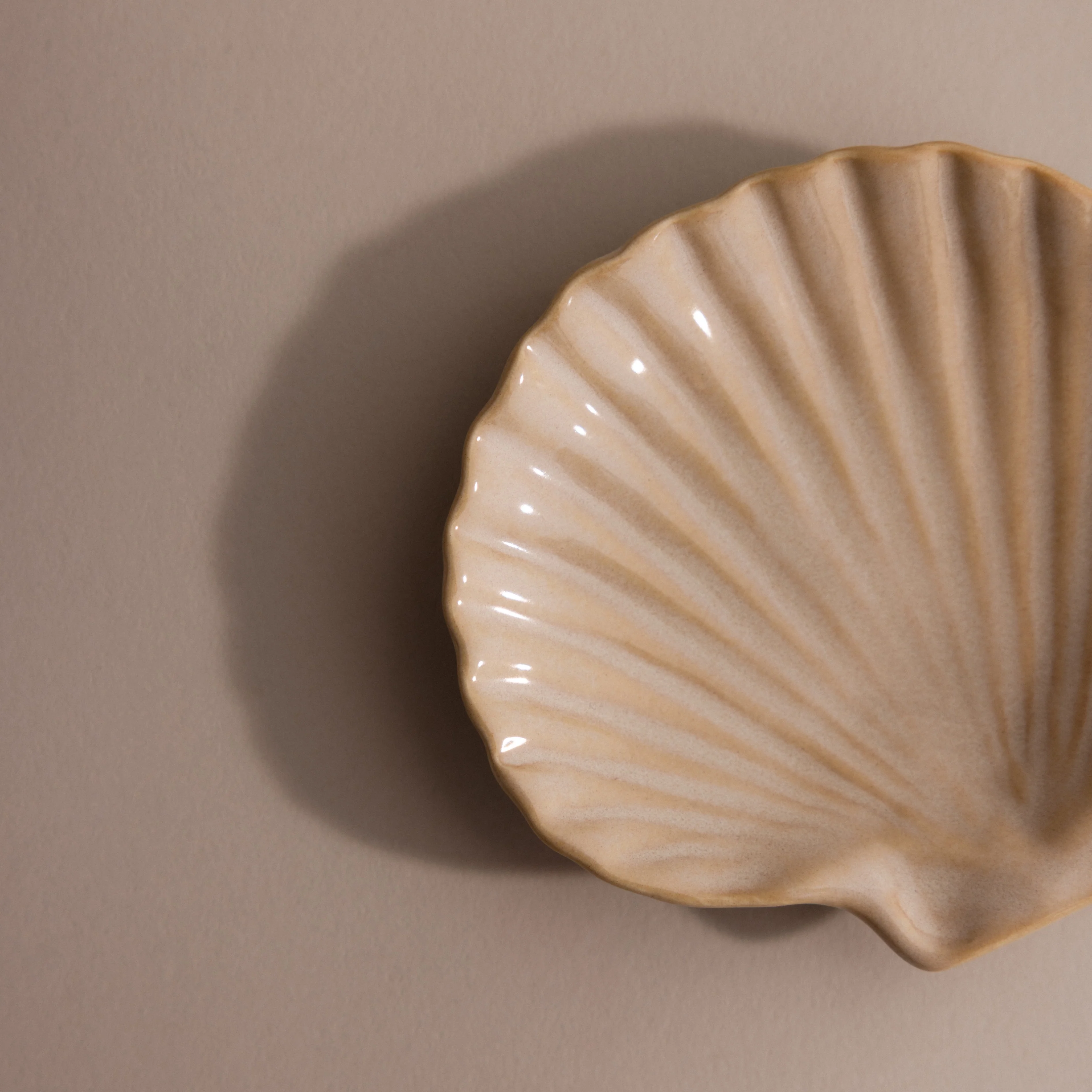 Venus Shell Jewelry Dish - Image 9